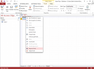 ms access file extensions